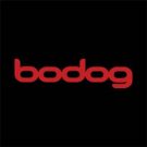 Bodog